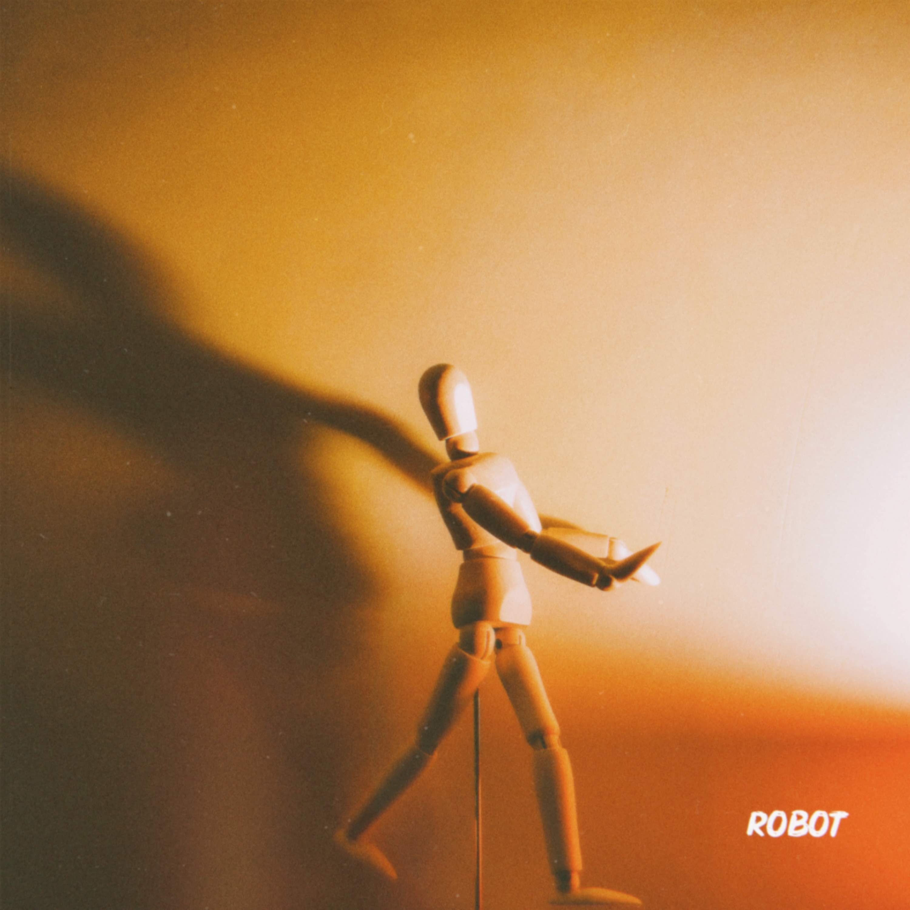 Robot